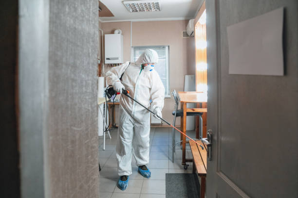 Why You Should Choose Our Mold Remediation Services in Erin, TN